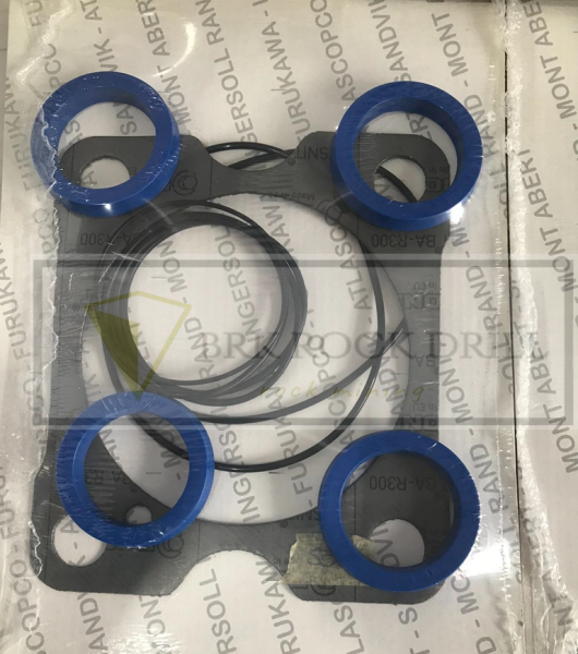 BG 003 971 11 - SEAL KIT - BG00397111 - SEAL KIT